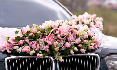 VEHICLE HIRE